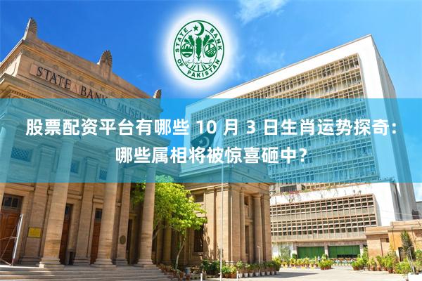 股票配资平台有哪些 10 月 3 日生肖运势探奇：哪些属相将被惊喜砸中？