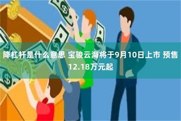 降杠杆是什么意思 宝骏云海将于9月10日上市 预售12.18万元起