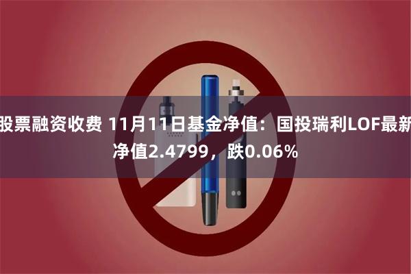 股票融资收费 11月11日基金净值：国投瑞利LOF最新净值2.4799，跌0.06%