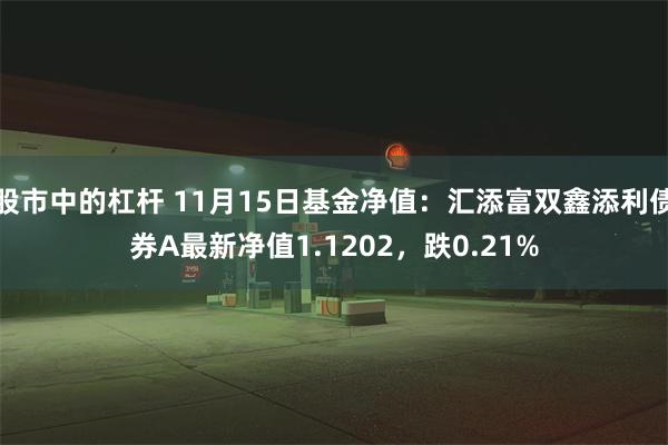 股市中的杠杆 11月15日基金净值：汇添富双鑫添利债券A最新净值1.1202，跌0.21%