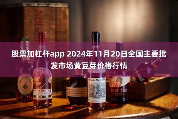 股票加杠杆app 2024年11月20日全国主要批发市场黄豆芽价格行情