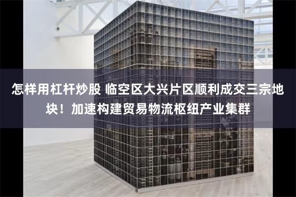 怎样用杠杆炒股 临空区大兴片区顺利成交三宗地块！加速构建贸易物流枢纽产业集群