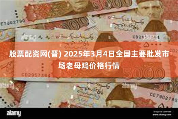 股票配资网(晋) 2025年3月4日全国主要批发市场老母鸡价格行情