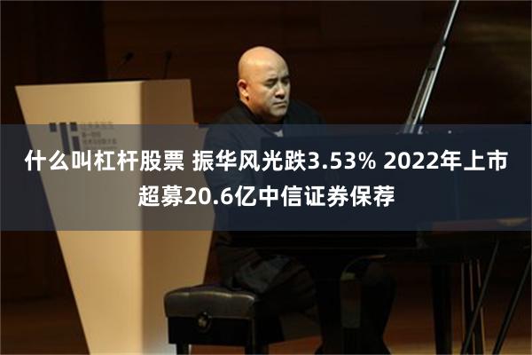 什么叫杠杆股票 振华风光跌3.53% 2022年上市超募20.6亿中信证券保荐